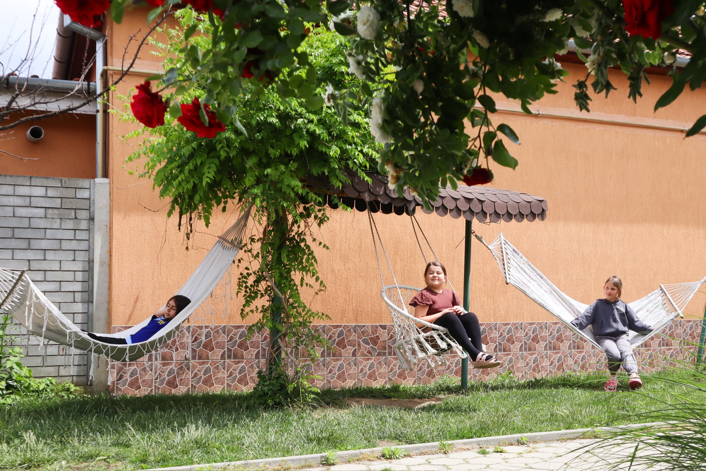 Hamace în curte