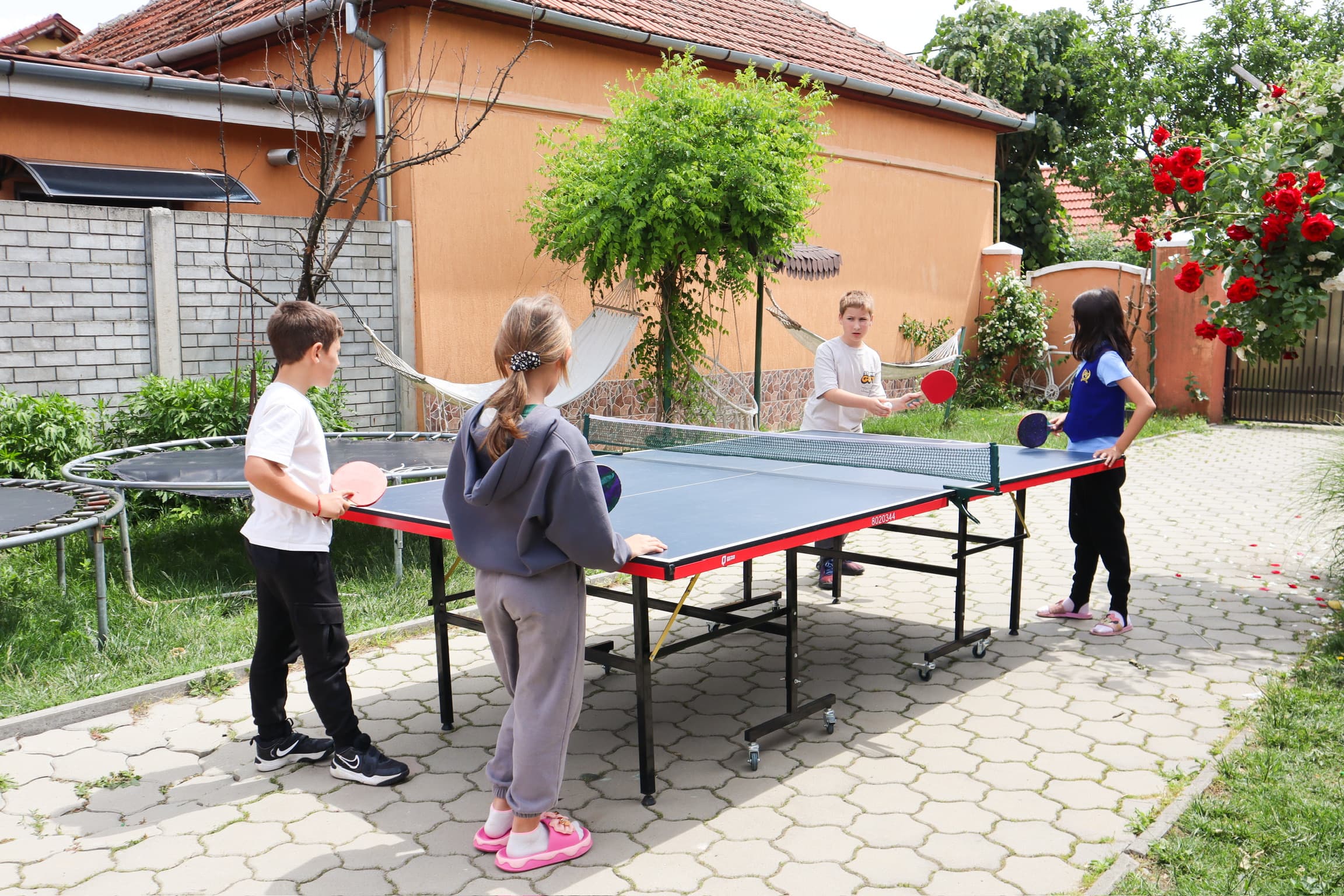 Masă de ping-pong